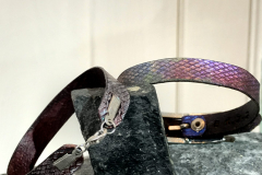 STYLE-PULSERA-PIELDEDRAGON-TOTAL02-PIELDEDRAGON-scaled